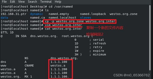 企業域名解析服務的部署及安全優化實踐